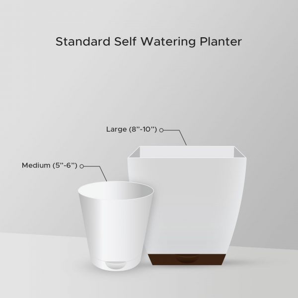 Standard-Self-Watering-Planter