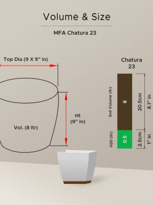 mfa-chatura-23-pot-02