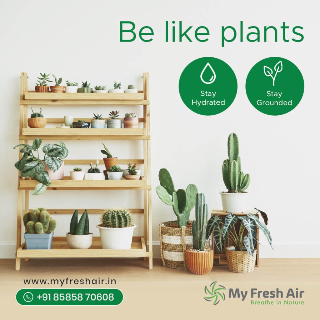 Be like plants